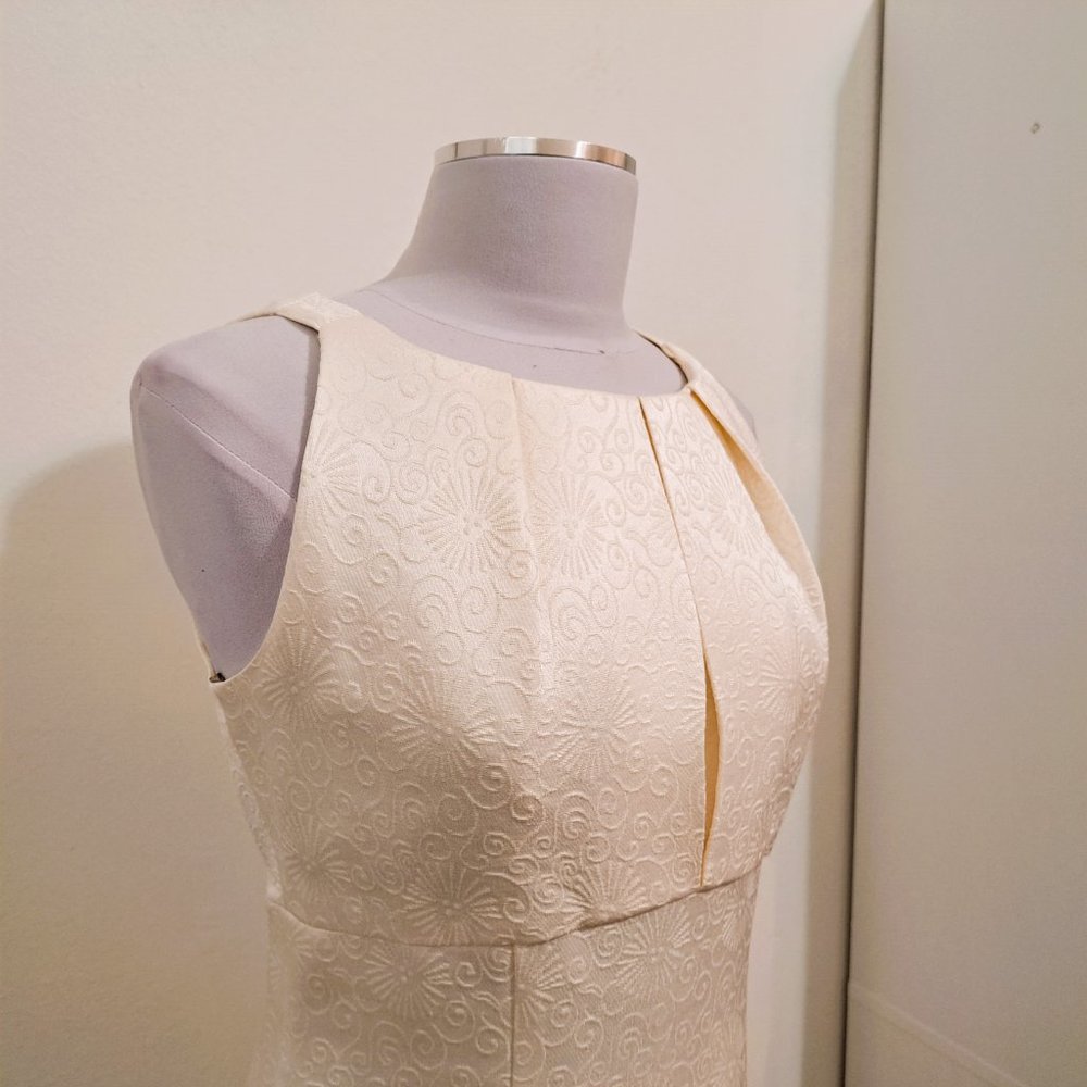 Taylor Embroidered Dress Sheath Style Sleeveless Cream Size 8 - Picture 11 of 13